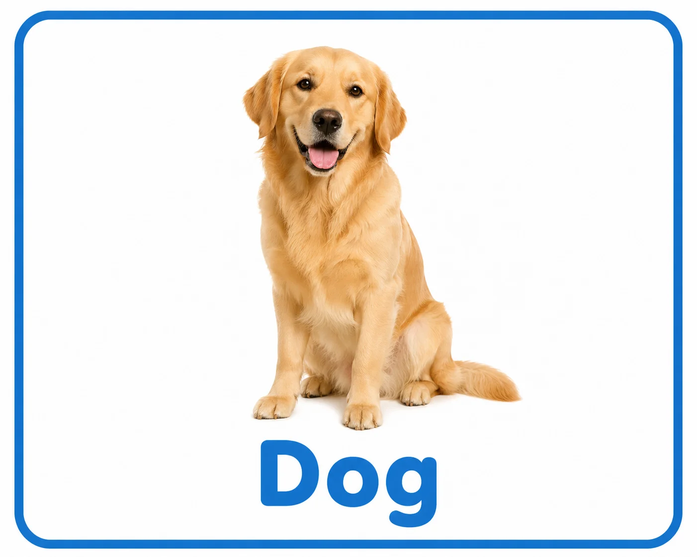 Dog illustration